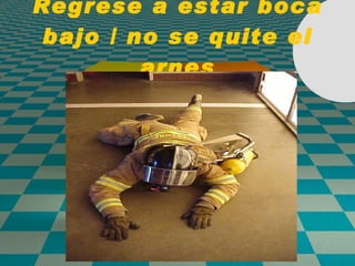 Regrese a estar boca bajo / no se quite el arnes 