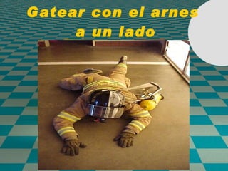 Gatear con el arnes  a un lado 