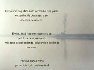 Havia uma raquítica rosa vermelha num galho no jardim de uma casa, o sol  acabara de nascer.  Então, José Roberto acariciou as  pétalas e lembrou-se da  mãozona do pai podando, adubando e cuidando com amor.   Por que nunca tinha  percebido tudo aquilo antes? 