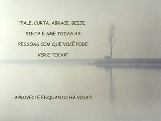 "FALE, CURTA, ABRACE, BEIJE, SINTA E AME TODAS AS  PESSOAS COM QUE VOCÊ PODE  VER E TOCAR"   APROVEITE ENQUANTO HÁ VIDA!!! 
