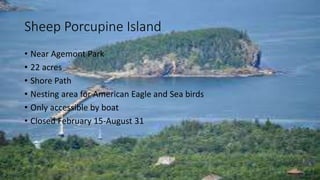 Sheep Porcupine Island
• Near Agemont Park
• 22 acres
• Shore Path
• Nesting area for American Eagle and Sea birds
• Only accessible by boat
• Closed February 15-August 31
 