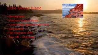 Little Moose Island
• Nesting birds
• Southern Coast of Maine
• Coastal bogs, exposed heath lands
• Spruce/pine
• Tall red granite cliffs
• Low tide = land bridge
 
