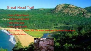 Great Head Trail
• East of Sand Beach
• 520 ft summit with
• 104 miles long
• Pink Granite cliffs
• Has a view of Otter Cliff, Thunder Hole and Gorham Mountain
• Grey birch trees
 