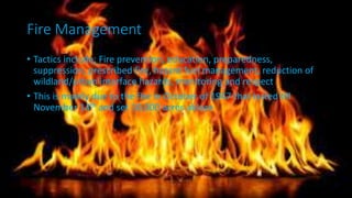 Fire Management
• Tactics include: Fire prevention, education, preparedness,
suppression, prescribed fire, hazard fuel management, reduction of
wildland/urban interface hazards, monitoring and respect
• This is mainly due to the fire in October of 1947 that lasted till
November 14th and set 10,000 acres ablaze
 