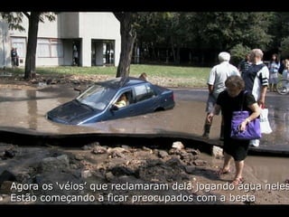 Agora os ‘véios’ que reclamaram dela jogando água neles Estão começando a ficar preocupados com a besta 