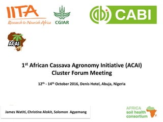 James Watiti, Christine Alokit, Solomon Agyemang
1st African Cassava Agronomy Initiative (ACAI)
Cluster Forum Meeting
12th - 14th October 2016, Denis Hotel, Abuja, Nigeria
 