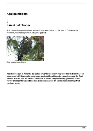 Acai palmboom

//
// Acai palmboom
Acai bessen hangen in trossen aan de boom : een palmsoort die veel in Zuid-Amerika
voorkomt, voornamelijk in het Amazone-gebied.




Acai bessen aan boom




Acai bessen zijn in Amerika de laatste vrucht sensatie in de gezondheids branche, een
ware superhit ! Maar onderschat daarnaast niet hun bijzondere voedingswaarde. Acai
bessen worden niet voor niets ’s werelds nummer 1 supervoeding genoemd. Lees
verder om meer te weten te komen over hoe en waar dit kleine maar machtige fruit
vandaan komt.




                                                                                     1/5
 