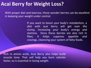 Acai Berry for Weight Loss?With proper diet and exercise, these wonder berries can be excellent in keeping your weight under control.If you want to boost your body's metabolism, a diet with acai berry will get over the slump, increasing your body's energy and stamina.  Since these berries are also rich in fiber, it helps suppress appetite and cravings, cleansing your system of fatty foods.Rich in amino acids, Acai Berry also helps build muscle tone. That will help you burn calories faster, so is essential in losing weight.