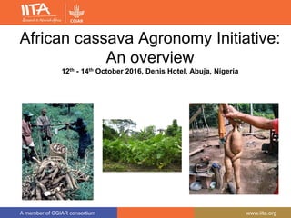 A member of CGIAR consortium www.iita.org
African cassava Agronomy Initiative:
An overview
12th - 14th October 2016, Denis Hotel, Abuja, Nigeria
 