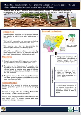 Mycorrhizal inoculation for a more profitable and resilient cassava sector - The use of
stable isotope proxies to assess cassava water use efficiency
Introduction
• Nigerian cassava production is 100% rain-fed and thus
fully exposed to current and future disturbances in
rainfall.
.
• This invariably exposes the crop to stress given the long
growth cycle of cassava in West and Central Africa.
• This tolerance can also be conventionally be
characterized by the water use efficiency (WUE)
• Although the crop is believed to be more tolerant to dry
spells probably as a result of its association with AMF
but there is practically paucity of information on this.
Objectives
1. To apply next generation DNA sequencing methods to
provide a full account of cassava AMF-communities
2. To determine the effectiveness of inoculation with
mycorrhizal fungi in improving water use efficiency and
nutrient uptake of cassava under varying moisture
stress and nutrient conditions, under both greenhouse
and field conditions
3. To optimize and use the stable isotope fractionation
processes of carbon, oxygen and hydrogen to quantify
water use efficiency (WUE)
Development of a strategy to achieve a sustainable
cassava production system in a constantly changing
climate
Provision of insight into the underlying fundamental
mechanisms of the AMF-Cassava relationship.
Tracking and quantifying water flows within and beyond the
plant rooting zone to develop minimal water loss
management strategies in cassava.
Expected output
Promotors: Prof. R. Merckx, Faculty of Bioscience Engineering and Prof. O. Honnay, Faculty of Sciences.
Co-promotors: Dr. S. Hauser, IITA, Ibadan, Nigeria and Prof. A.A. Soretire, Federal University of
Agriculture, Abeokuta, Nigeria
1. A large-scale screening of AMF-
communities in cassava fields in
Nigeria based on DNA-
sequencing techniques(Fig:1)
2. Inoculation study in a green
house to determine AMF
effectiveness on WUE and
nutrient uptake of cassava at KU
Leuven, Belgium.
3. Seeking field confirmation of
the best-bet combinations of
cassava genotype and
mycorrhizal strains on field in
Nigeria
3TIEREDEXPERIMENT
Research methodology
Figure 1: Map of Nigeria
showing selected fields
 