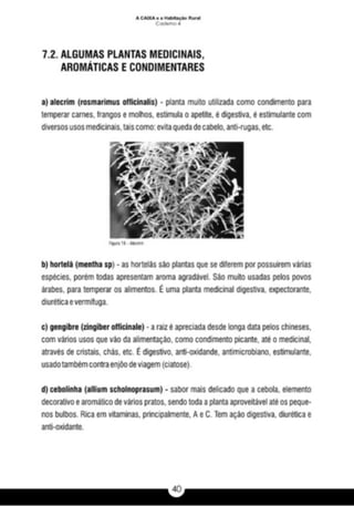 A caixa e_a_habitação_rural_caderno_4