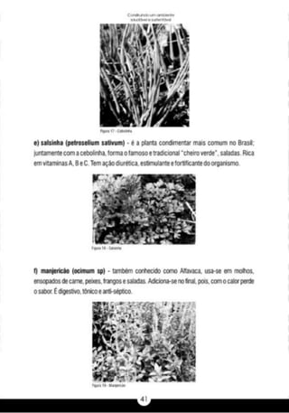 A caixa e_a_habitação_rural_caderno_4