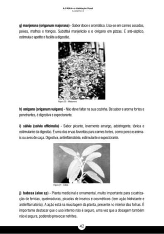 A caixa e_a_habitação_rural_caderno_4