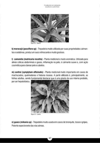 A caixa e_a_habitação_rural_caderno_4