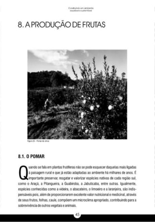A caixa e_a_habitação_rural_caderno_4