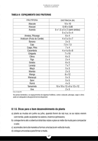 A caixa e_a_habitação_rural_caderno_4