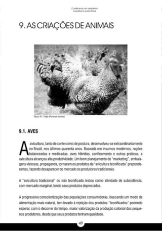 A caixa e_a_habitação_rural_caderno_4
