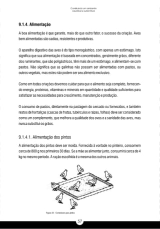 A caixa e_a_habitação_rural_caderno_4