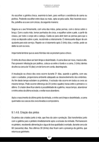 A caixa e_a_habitação_rural_caderno_4