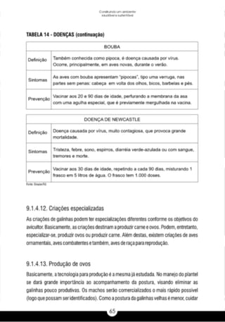 A caixa e_a_habitação_rural_caderno_4