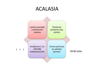 ACALASIA


            Lesión asociada     Trastorno
              a disfunción    primario mas
                motora           común




            Incidencia 1 en   Forma primaria
(   =   )       100.000         en adultos
            habitantes/año       jóvenes       25-60 años
 