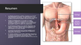 Resumen
1. La disfagia persistente a sólidos y líquidos es el síntoma
más frecuentede la acalasia. Las regurgitaciones y sus
complicaciones respiratorias, el dolor torácico, la pérdida
de peso y la pirosis son también síntomas frecuentes.
2. Aunque la esofagoscopia es la prueba con mayor
rendimiento diagnóstico en pacientes con disfagia
esofágica, su papel en el diagnóstico de la acalasia es el
de exclusión de lesiones orgánicas, en particular de las
que pueden originar un cuadro de seudoacalasia.
3. La manometría esofágica es el método diagnóstico con
mayor sensibilidad y especificidad en el diagnóstico de
acalasia; es el único método capaz de diagnosticar la
enfermedad en sus fases iniciales.
4. La ausencia de peristalsis en el cuerpo esofágico es el
único signo manométrico obligado para el diagnóstico
manométrico de acalasia.
5. El tránsito esofágico es la prueba radiológica más útil en
el estudio de los pacientes con acalasia. Debe incluir una
evaluación tanto dinámica (fluoroscopia) como
morfológica y puede ser normal en más de un tercio de los
pacientes.
Esófago
Estomago
Esfínter
esofágico
Inferior
 