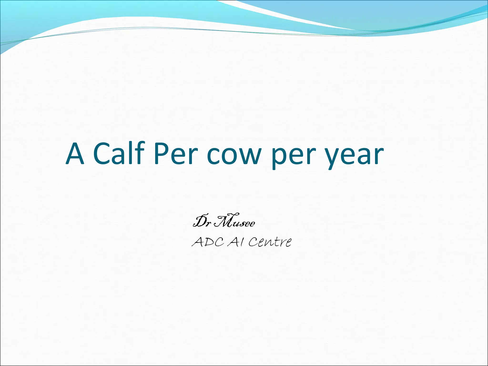 A calf per cow per year PPT