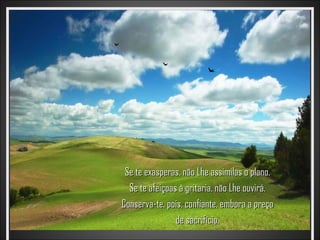 Se te exasperas, não Lhe assimilas o plano.
  Se te afeiçoas à gritaria, não Lhe ouvirá.
Conserva-te, pois, confiante, embora a preço
                de sacrifício.
 