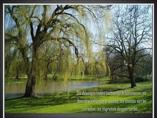 Os desesperados tornarão à harmonia, os
doentes voltarão à saúde, os loucos serão
   curados, os ingratos despertarão...
 