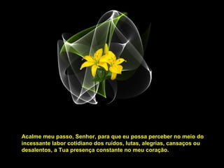 Acalme meu passo, Senhor, para que eu possa perceber no meio do incessante labor cotidiano dos ruídos, lutas, alegrias, cansaços ou desalentos, a Tua presença constante no meu coração. 