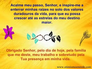 Acalme meu passo, Senhor, e inspire-me a enterrar minhas raízes no solo dos valores duradouros da vida, para que eu possa crescer até as estrelas do meu destino maior. Obrigado Senhor, pelo dia de hoje, pela família que me deste, meu trabalho e sobretudo pela Tua presença em minha vida.  www.otimismoemrede.com 