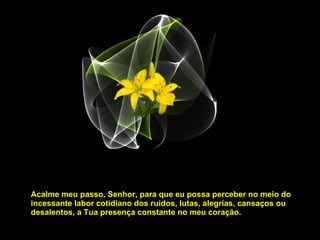Acalme meu passo, Senhor, para que eu possa perceber no meio do incessante labor cotidiano dos ruídos, lutas, alegrias, cansaços ou desalentos, a Tua presença constante no meu coração. 