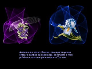 Acalme meu passo, Senhor, para que eu possa entoar o cântico da esperança, sorrir para o meu próximo e calar-me para escutar a Tua voz 