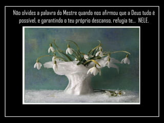 Não olvides a palavra do Mestre quando nos afirmou que a Deus tudo é possível, e garantindo o teu próprio descanso, refugia te...  NELE. 