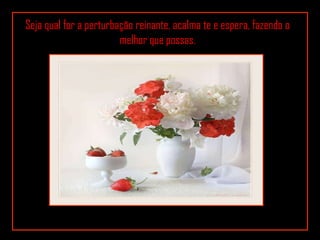 Seja qual for a perturbação reinante, acalma te e espera, fazendo o melhor que possas. 