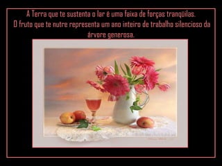 A Terra que te sustenta o lar é uma faixa de forças tranqüilas. O fruto que te nutre representa um ano inteiro de trabalho silencioso da árvore generosa. 