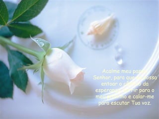 Acalme meu passo, Senhor, para que eu possa entoar o cântico da esperança, sorrir para o meu próximo e calar-me para escutar Tua voz. 