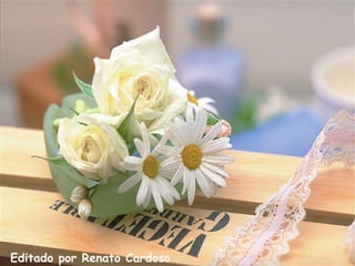 Editado por Renato   Cardoso   