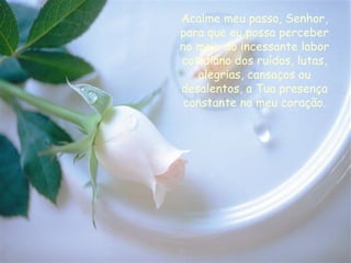 Acalme meu passo, Senhor, para que eu possa perceber no meio do incessante labor cotidiano dos ruídos, lutas, alegrias, cansaços ou desalentos, a Tua presença constante no meu coração. 