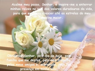 Obrigada, Senhor, pelo dia de hoje, pela família que me destes, pelo meu trabalho, pelos meus amigos e, sobretudo, pela Tua presença em minha vida. Acalme meu passo, Senhor, e inspire-me a enterrar minhas raízes no solo dos valores duradouros da vida, para que eu possa crescer até as estrelas do meu destino maior. 