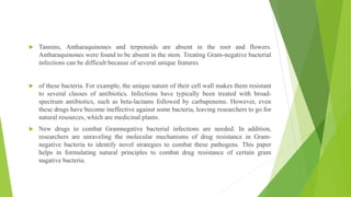  Tannins, Antharaquinones and terpenoids are absent in the root and flowers.
Antharaquinones were found to be absent in the stem. Treating Gram-negative bacterial
infections can be difficult because of several unique features
 of these bacteria. For example, the unique nature of their cell wall makes them resistant
to several classes of antibiotics. Infections have typically been treated with broad-
spectrum antibiotics, such as beta-lactams followed by carbapenems. However, even
these drugs have become ineffective against some bacteria, leaving researchers to go for
natural resources, which are medicinal plants.
 New drugs to combat Gramnegative bacterial infections are needed. In addition,
researchers are unraveling the molecular mechanisms of drug resistance in Gram-
negative bacteria to identify novel strategies to combat these pathogens. This paper
helps in formulating natural principles to combat drug resistance of certain gram
nagative bacteria.
 