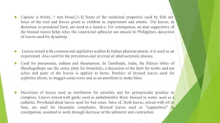  Capsule is bristly, 1 mm broad.[1-3] Some of the medicinal properties used by folk are:
Juice of the root and leaves given to children as expectorant and emetic. The leaves, in
decoction or powdered form, are used as a laxative. For constipation, an anal suppository of
the bruised leaves helps relax the constricted sphincter ani muscle.In Philippines, decoction
of leaves used for dysentery.
 Leaves mixed with common salt applied to scabies.In Indian pharmacopoeia, it is used as an
expectorant. Also used for the prevention and reversal of atherosclerotic disease.
 Used for pneumonia, asthma and rheumatism. In Tamilnadu, India, the Paliyar tribes of
Shenbagathope use the entire plant for bronchitis, a decoction of the herb for tooth- and ear
aches and paste of the leaves is applied to burns. Poultice of bruised leaves used for
syphilitic ulcers, to maggot-eaten sores and as an emollient to snake bites.
 Decoction of leaves used as instillation for earaches and for periauricular poultice or
compress. Leaves mixed with garlic used as anthelminthic Root, bruised in water, used as a
cathartic. Powdered dried leaves used for bed sores. Juice of, fresh leaves, mixed with oil or
lime, are used for rheumatic complaints. Bruised leaves used as "suppository" in
constipation, assumed to work through decrease of the sphincter anti contraction.
 