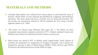 MATERIALS AND METHODS
 Acalypha indica plants were collected from various places in and around the areas of
Kurnool. Whole Plants of were collected and identified by comparing with herbarium
specimens. The stems along with leaves of plants were air- dried and powdered. The
dry powder was extracted by reflexed in 100 mL methanol for 24 h, using a Soxhlet
apparatus (Khan et al., 1988).
 The extract was filtered using Whatman filter paper, No. 1. The filtrate was then
evaporated using rotatory evaporator and dried at 55°C. Ethanol, methanol, hexane and
distilled water extracts are obtained and all the extracts are preserved.
 Dried extract was stored at 20°C in labeled, sterile capped bottles. Stock cultures of
microbes are maintained at a temperature of 4 degrees centigrade, active cultures are
prepared by growing in tubes of Muller-Hinton (MHB) / Potato dextrose agar (PDA)
for bacteria and Sabouraud dextrose broth (SDB) for fungi.
 