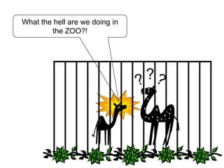 Son, obviously they are meant for walking in the desert better than anyone does.OK, then why are our legs long and our feet rounded?Posted in http://1pinoyblogger.blogspot.com