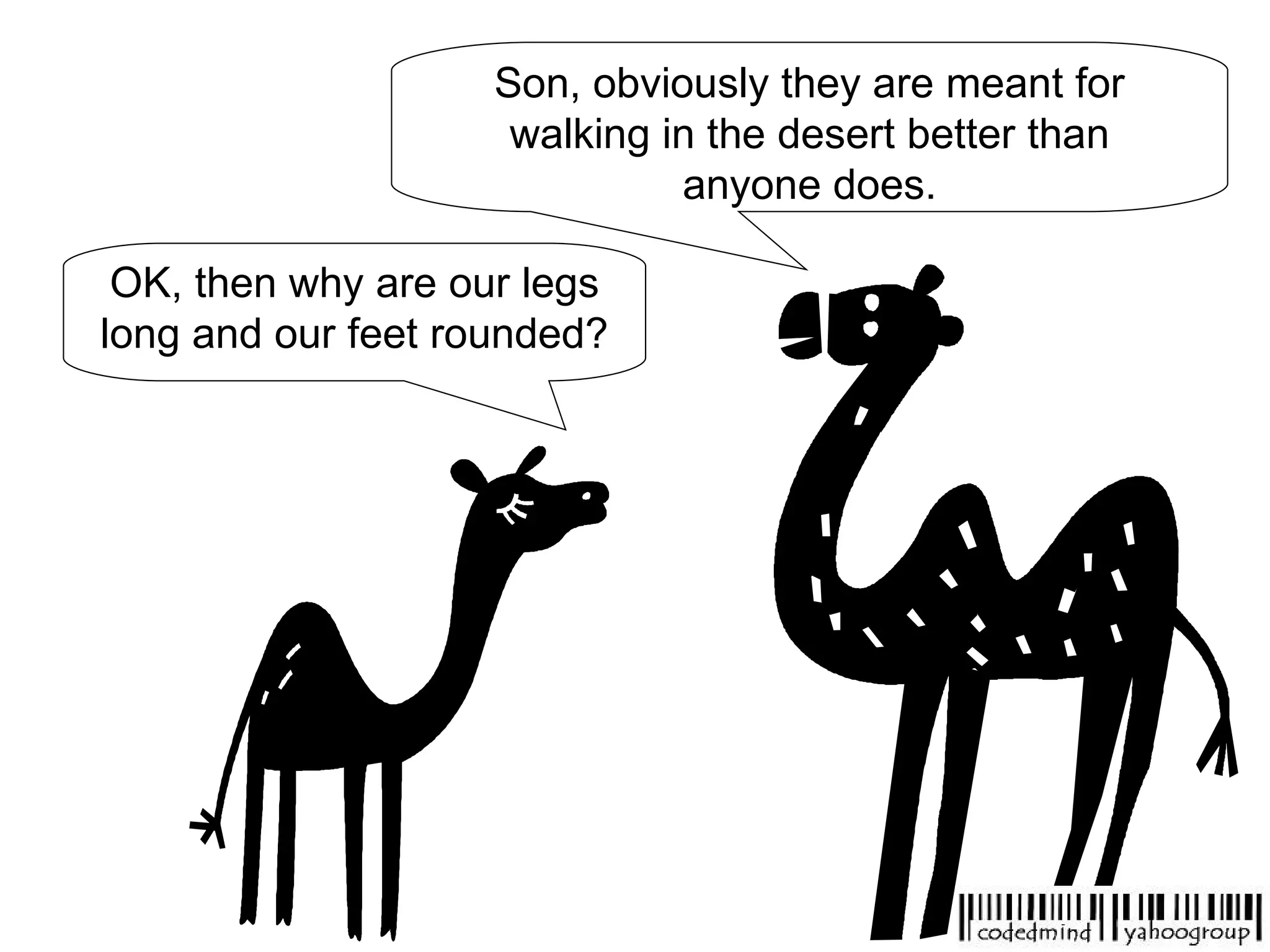 OK, then why are our legs long and our feet rounded? Son, obviously they are meant for walking in the desert better than anyone does. 