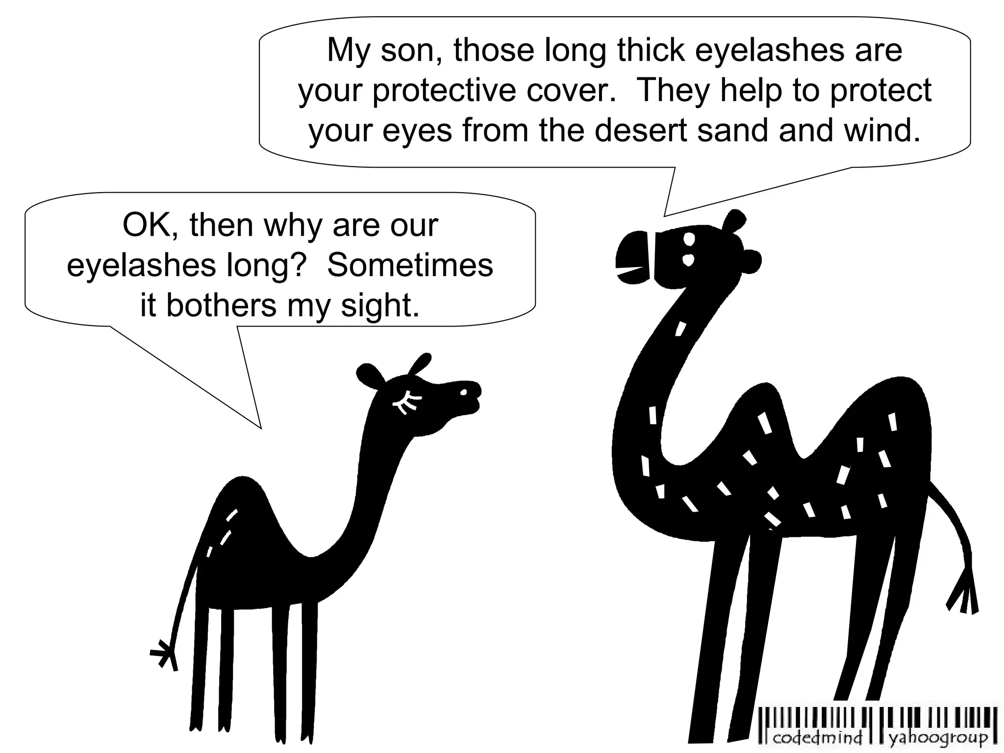 OK, then why are our eyelashes long?  Sometimes it bothers my sight. My son, those long thick eyelashes are your protective cover.  They help to protect your eyes from the desert sand and wind. 