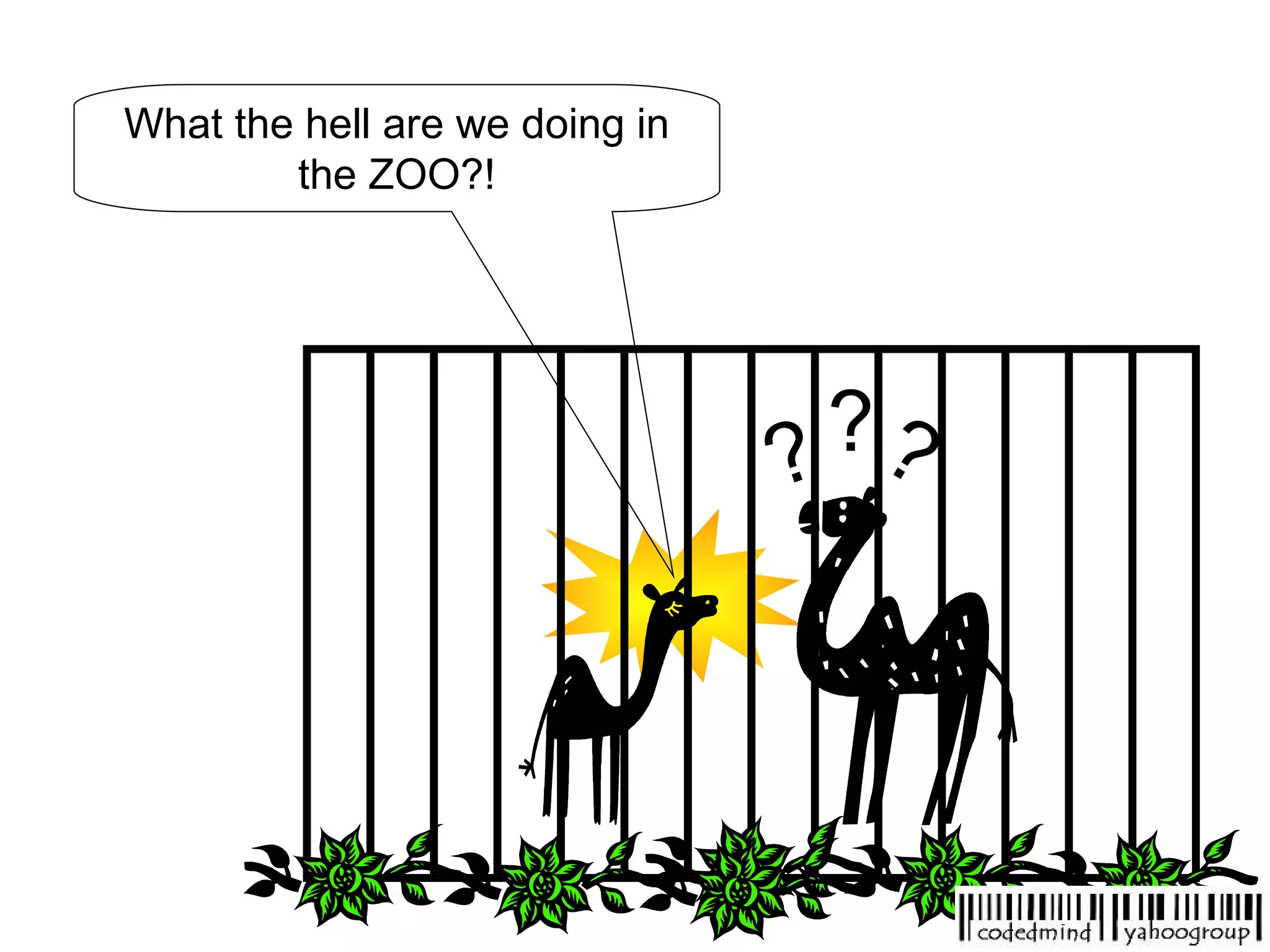 What the hell are we doing in the ZOO?! ? ? ? 