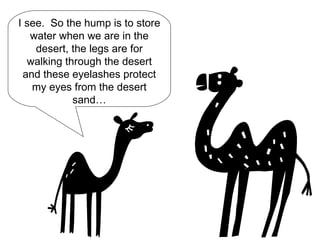 I see. So the hump is to store water when we are in the desert, the legs are for walking through the desert and these eyelashes protect my eyes from the desert sand…