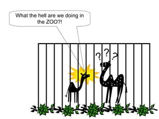 What the hell are we doing in the ZOO?! ? ? ?