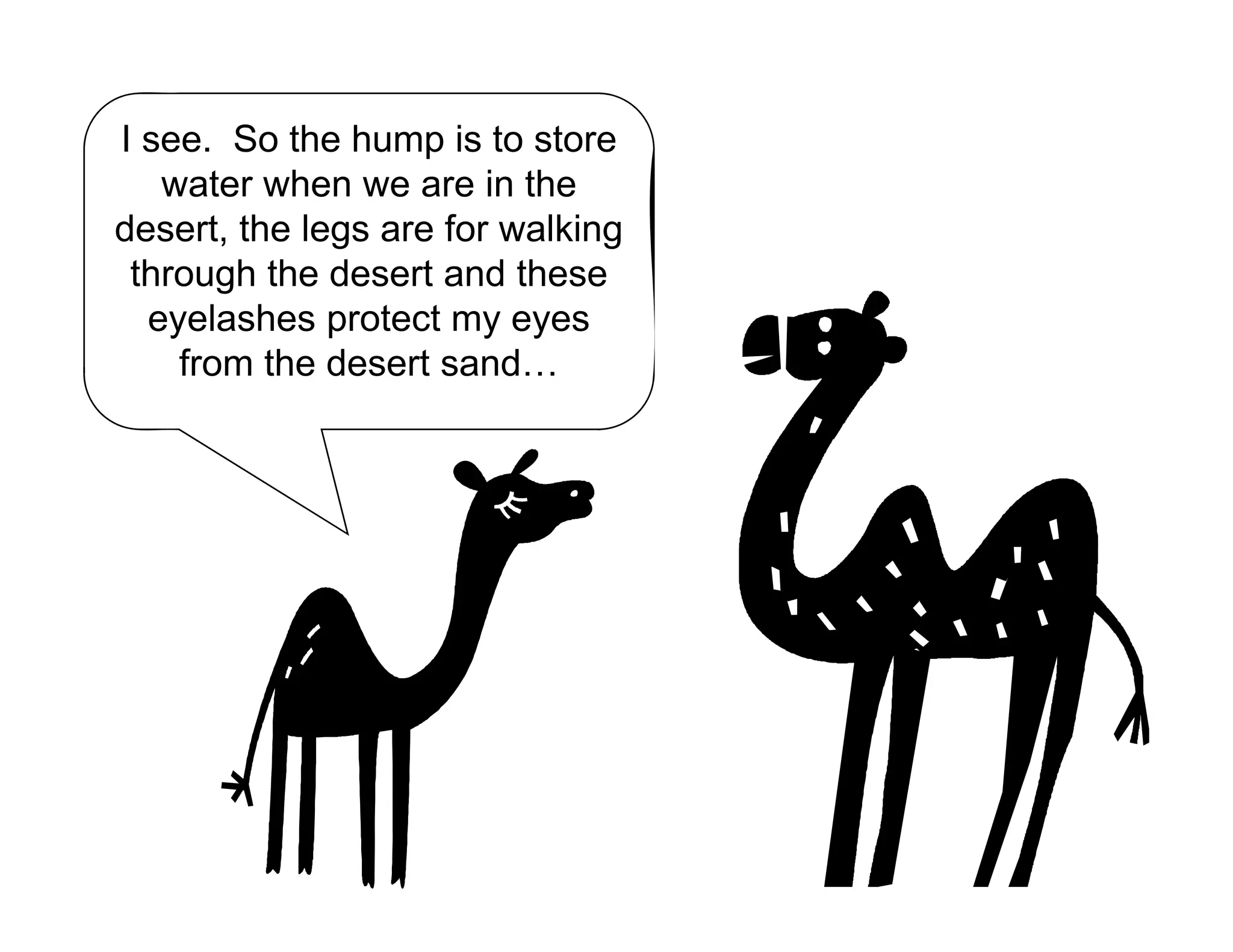 I see. So the hump is to store
t h i thwater when we are in the
desert, the legs are for walking
through the desert and these
eyelashes protect my eyes
from the desert sand…
 